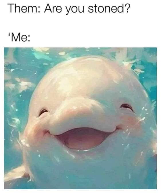 🍃💨Weeders💨🍃 tweet media