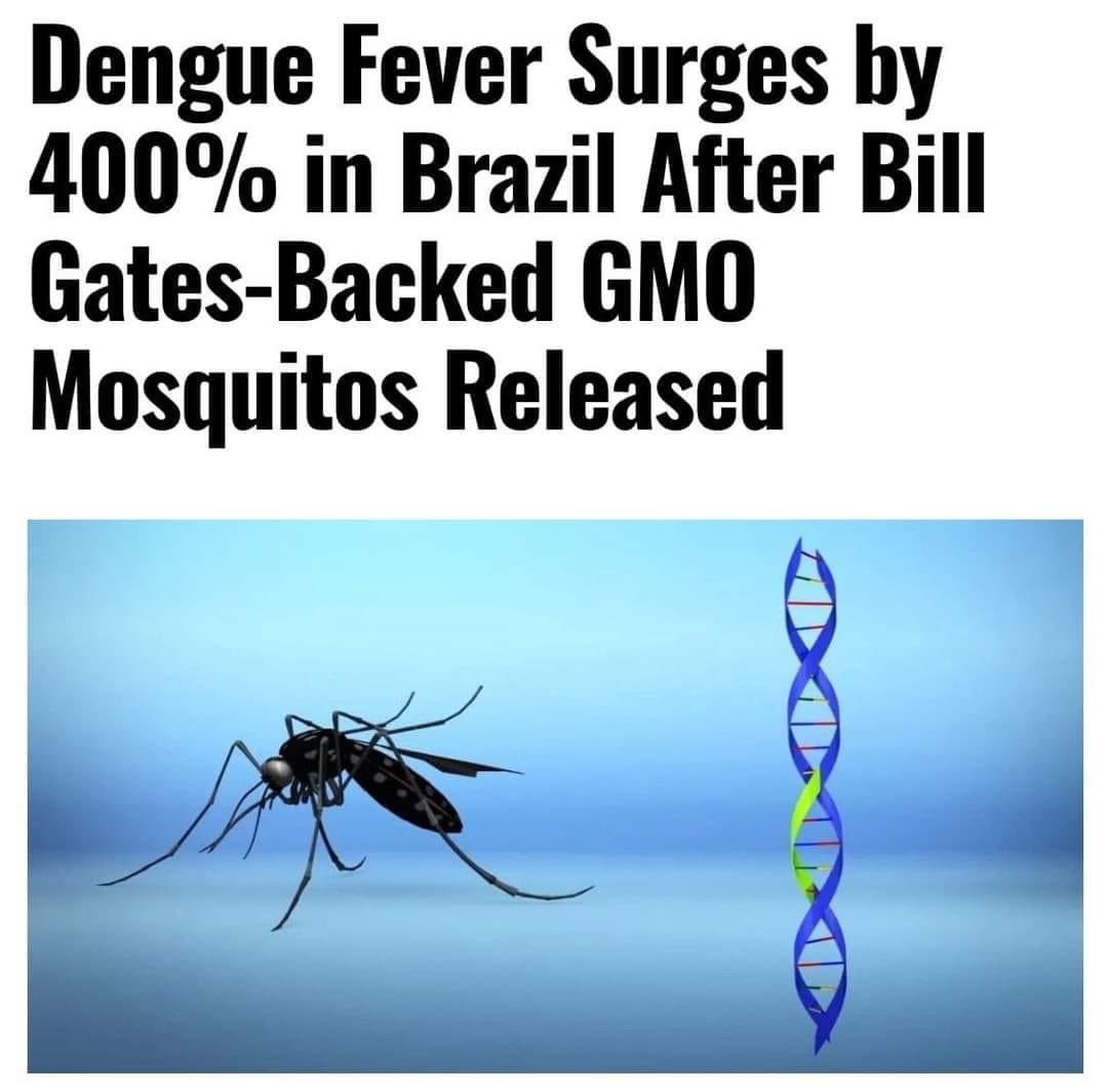 NaturallyFTW's tweet photo. Bill Gates is completely insane. 

P.S. Catnip essential oil is the best mosquito repellent. Works way better than vanilla. https://t.co/K0X0IO95o0