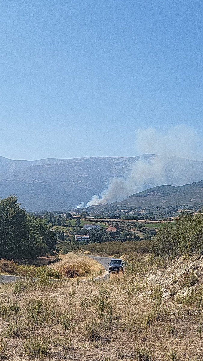 Meteoavila2's tweet photo. 🔥 Incendio activo en El Raso (#Ávila) medios actuando en el lugar. https://t.co/SRKpAzZrR0