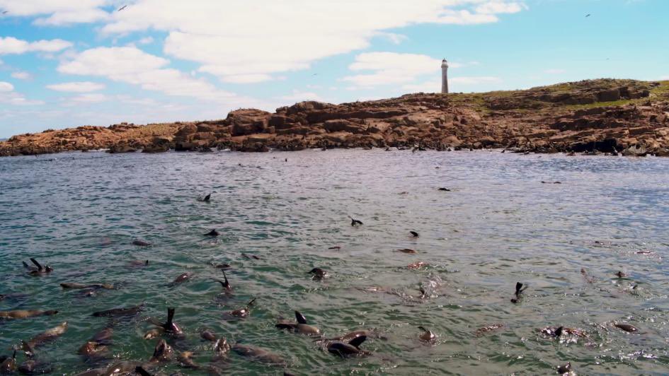 go_punta's tweet photo. Isla e Islote de Lobos ingresa al Sistema Nacional de Áreas Protegidas
🦭

https://t.co/Z0J6UD6qdx https://t.co/N309a9wXxJ