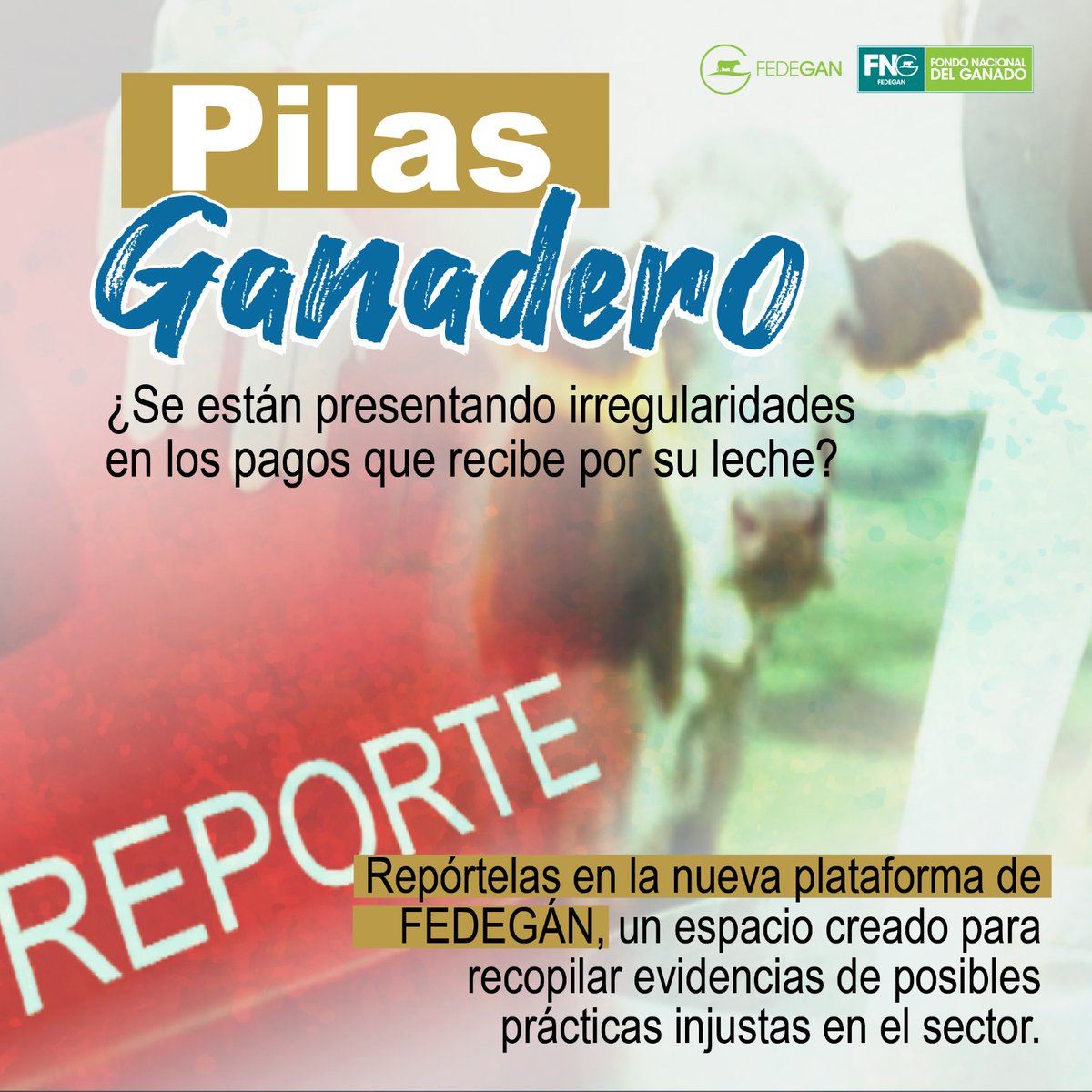 Fedegan's tweet photo. ¡Ganaderos, ustedes no están solos! 

Desde FEDEGÁN habilitamos una plataforma para que pueda denunciar irregularidades en los pagos que recibe por su leche.

Reporte en este link 👉👉 https://t.co/m5k1RIot8s

#SOSLechero #OrgullosamenteGanaderos