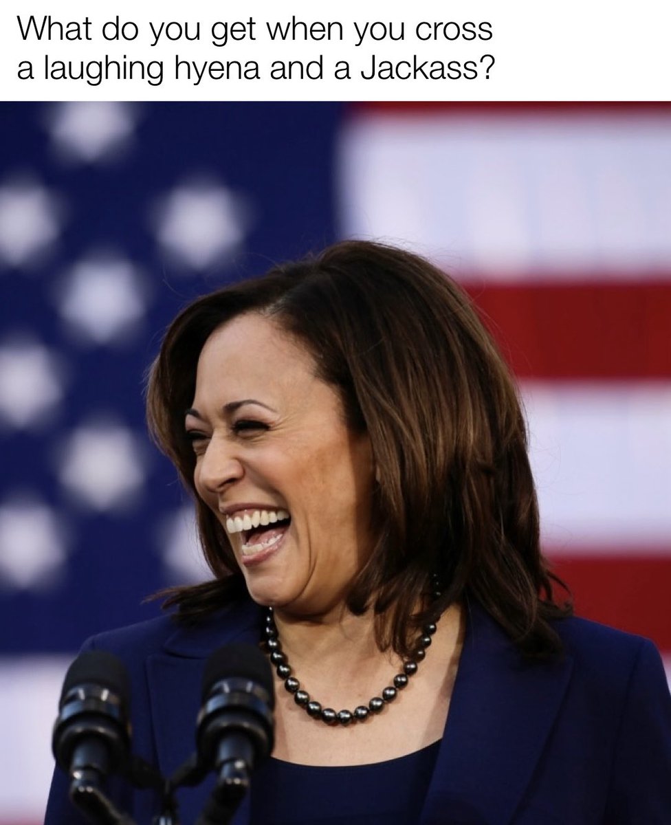 darrell_todd's tweet image. 