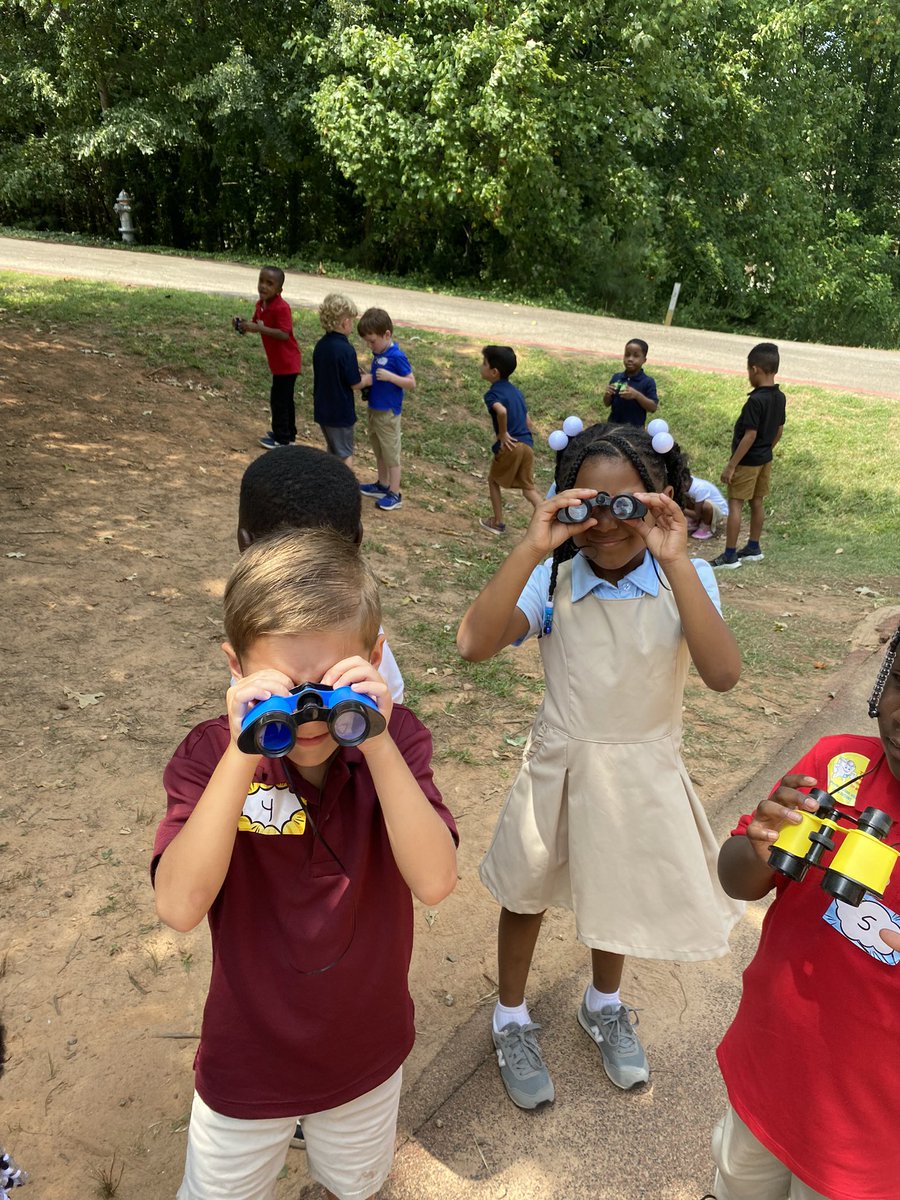 RussellESTEM's tweet image. Our amazing kindergarten and 2nd garden Butterfly Watchers Club participated in the Great Southeast Pollinator Census @UGAExtension @cobbscience @STEMcobb