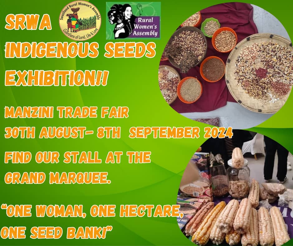 Come and experience indigenous seed diversity at the trade fair. Be well informed on the United Nation Declaration on the rights of Peasants (UNDROP) <a href="/cospe_swaziland/">COSPE Southern Africa</a> <a href="/UNEswatini/">UN Eswatini</a>
#OneWomenOneHectorOneSeedbank