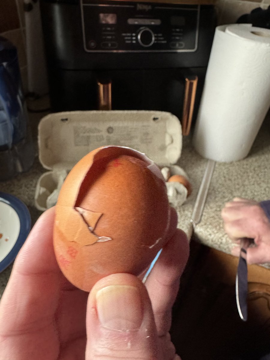 buttymandave's tweet photo. I went to crack this egg for breakfast and it had 2 shells. https://t.co/G7O4SmFa4h