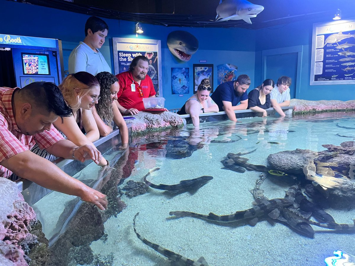 AustinAquarium's tweet image. Feeding the sharks after hours! Did you know you can book a private event with us? 🦈 

We are open everyday from 10 am-8 pm

austinaquarium.com/atickets/weeke…

📸 Keeper Meg #austinaquarium #privateevents #interactiveaquarium #sharks #TuesdayFun
