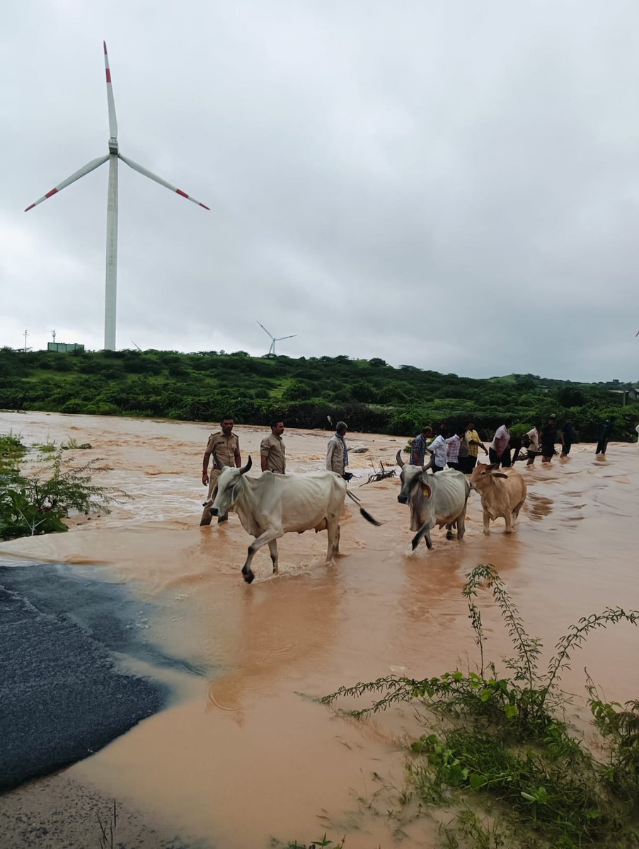 નાની ખેડોઇ થી માધવનગર જતા રસ્તામાં ખેડોઇ ગામની આશરે 100-150 ગાયો માધવનગર માં ફસાયેલ હોય જેને  પાણીના વહેણમાં  અંજાર પોલિસ અને ગામ ના લોકો સાથે રહી ને હેમખેમ પાણી ના વહેણ માંથી કાઢવામાં મદદ કરી......
 <a href="/CMOGuj/">CMO Gujarat</a>

<a href="/dgpgujarat/">DGP Gujarat</a>

<a href="/sanghaviharsh/">Harsh Sanghavi</a>

<a href="/GujaratPolice/">Gujarat Police</a>
