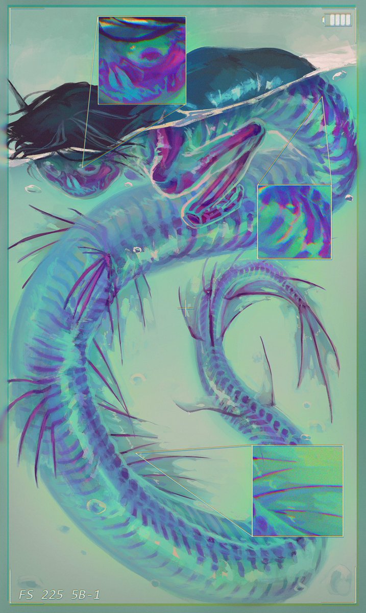 Toebeez's tweet image. Diaphonized siren fishe,, (they’re fine DW)