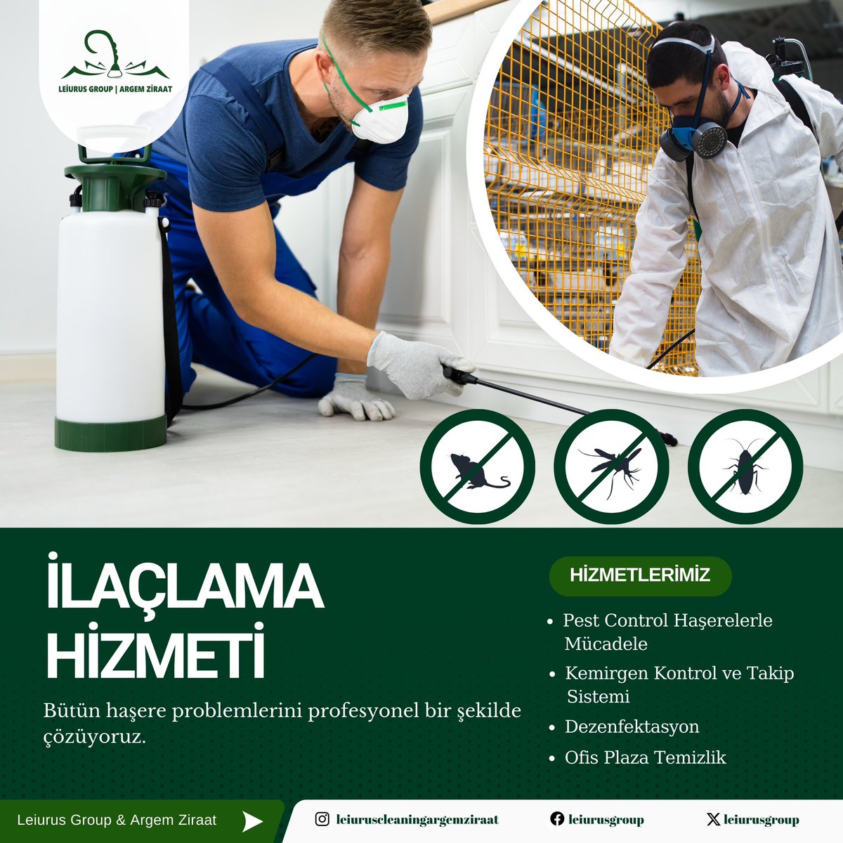 #pestcontrolturkey#leiurusgroupargemziraatpestcontrolhizmetleri