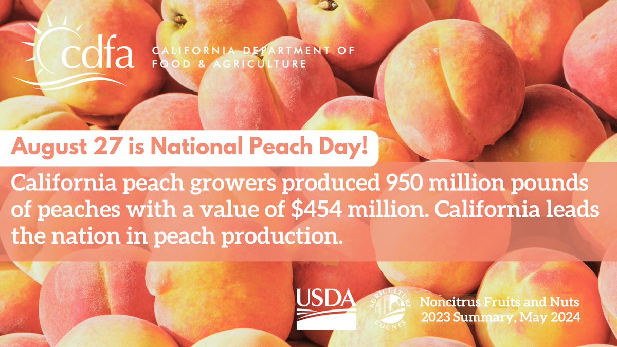 CDFAnews's tweet photo. 🍑 It's National Peach Day! 🍑
As the nation's top peach producer, California plays a huge role in putting delicious peaches on tables across the country. Fresno is the leading county with around 17,000 acres followed by Tulare with around 6,600 acres. #CalAg #NationalPeachDay https://t.co/dZsQYaNxOI