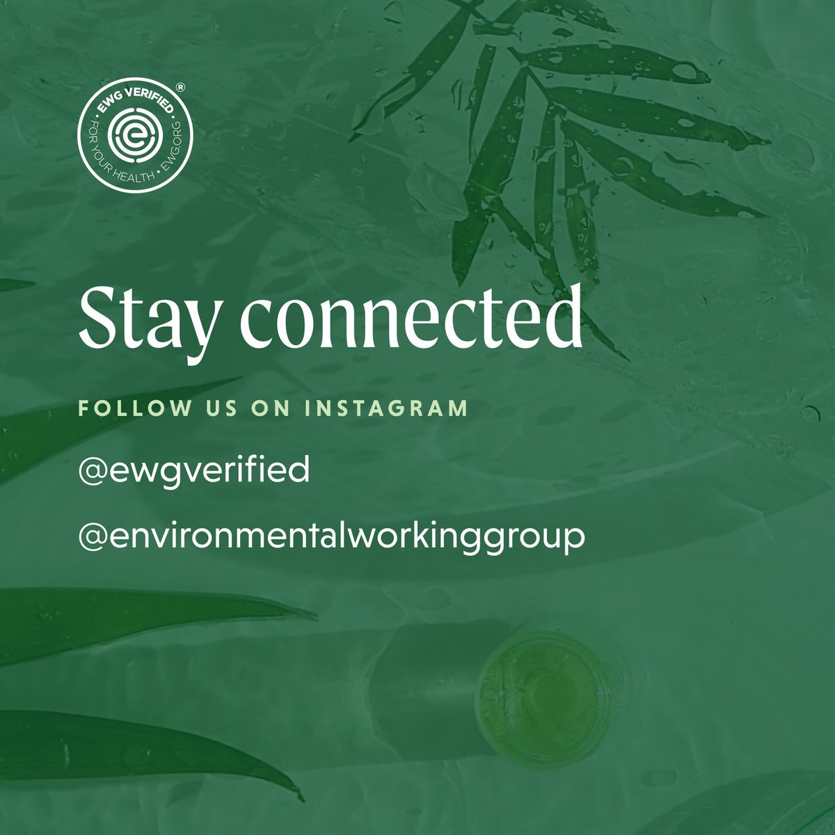 Did you knowStream2Sea sunscreens are EWG verified? Thank you for being a part of our community. Use code: EWG25 for a special discount. stream2sea.com/ewg-25/. 🫶✨⁠

⁠
#EWG #EWGVerified #Stream2Sea