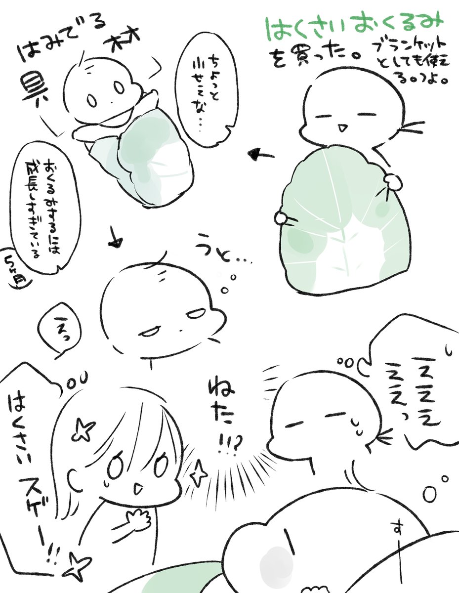 白菜ブランケット🥬大人用を買うか悩む 