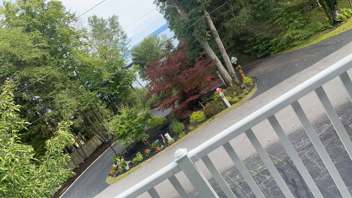 Rosie🖤 tweet media