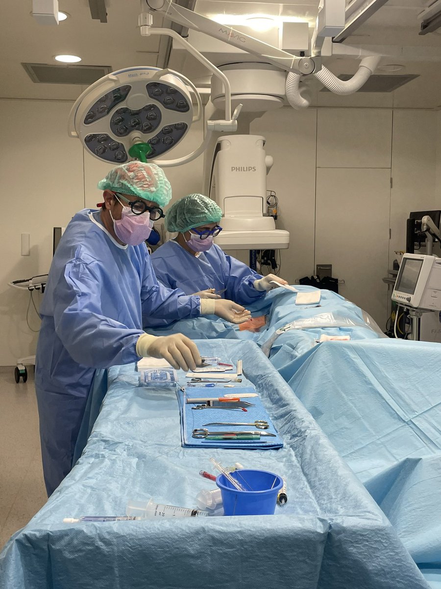 Xavier Garcia tweet media