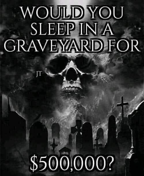 I would totally do this