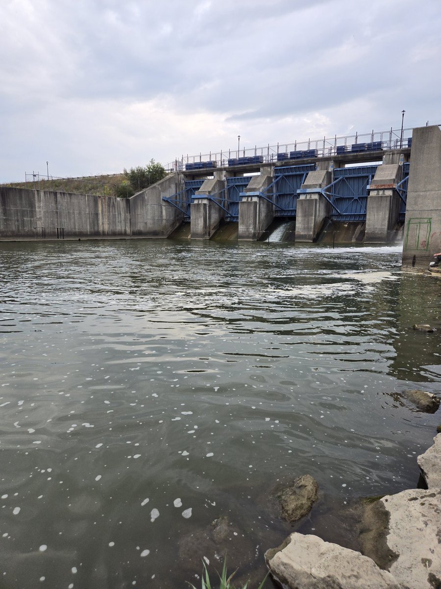 Gcole831's tweet image. #spillway #fishing 
#smallmouth #bass