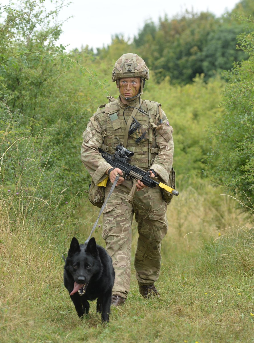 British Army 🇬🇧 (@britisharmy) on Twitter photo ICYMI: It was #InternationalDogDay yesterday 🐕
To mark the occasion, we would like to congratulate the recent additions to <a href="/1MWD_Reg/">1st Military Working Dog Regiment</a>, who have qualified as Patrol Military Working Dog Handlers.
Read more ⬇️
army.mod.uk/news-and-event… ICYMI: It was #InternationalDogDay yesterday 🐕
To mark the occasion, we would like to congratulate the recent additions to <a href="/1MWD_Reg/">1st Military Working Dog Regiment</a>, who have qualified as Patrol Military Working Dog Handlers.
Read more ⬇️
army.mod.uk/news-and-event…