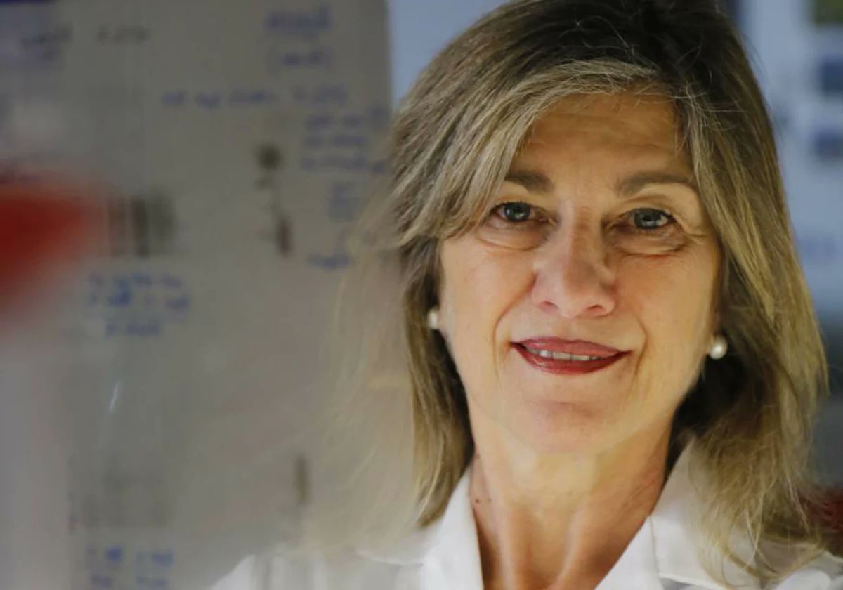El IBSAL se propone mejorar la recuperación de los ictus controlando el metabolismo | La Gaceta de Salamanca       lagacetadesalamanca.es/salamanca/ibsa… a través de @LaGacetaSa