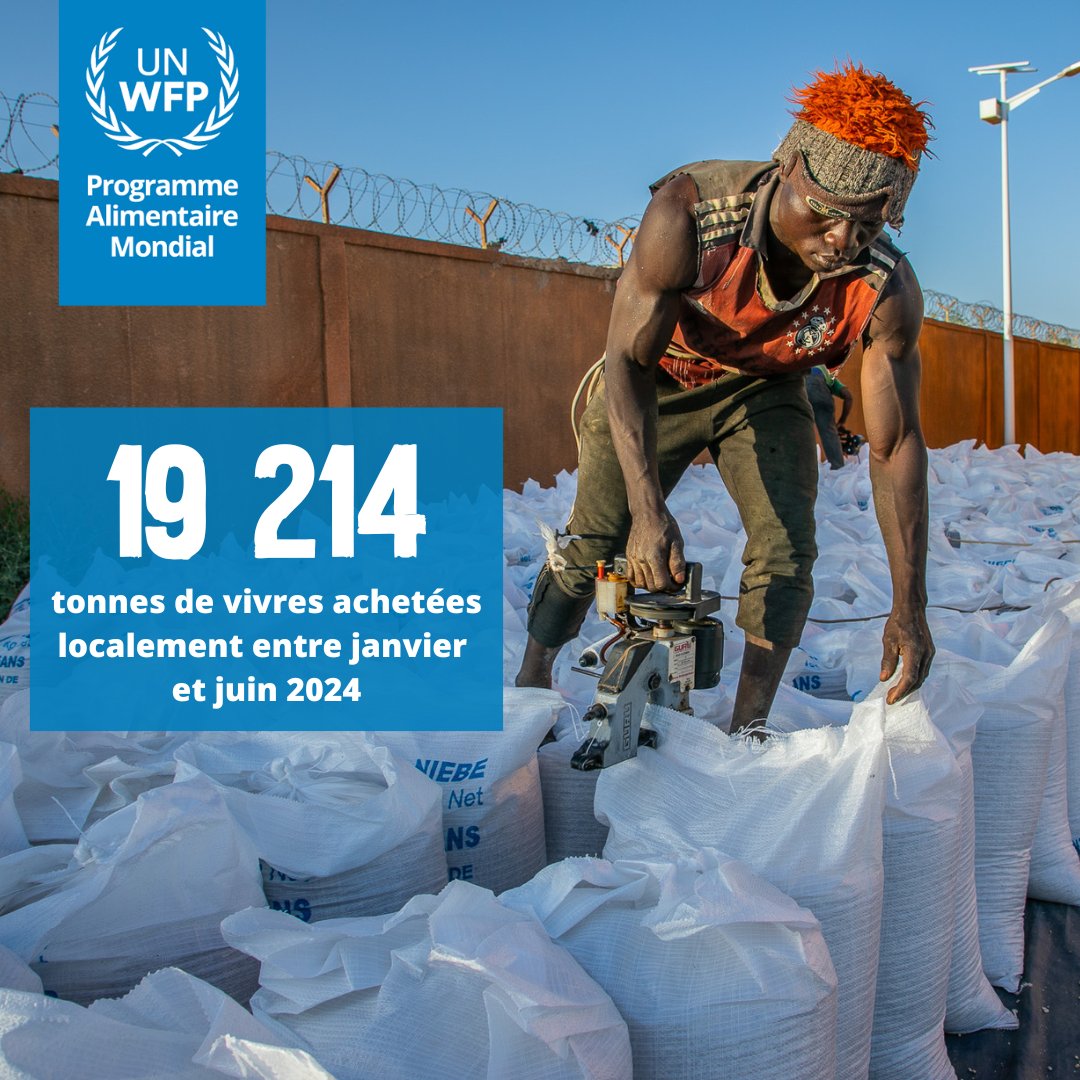 Au Niger, <a href="/WFP/">World Food Programme</a> soutient activement l'économie locale.

De janvier à juin 2024, le PAM a acheté environ 19 124 tonnes de vivres, d'une valeur de 15,2 millions de dollars, auprès d'entreprises locales et de petits exploitants agricoles. 

#ChangezLesVies