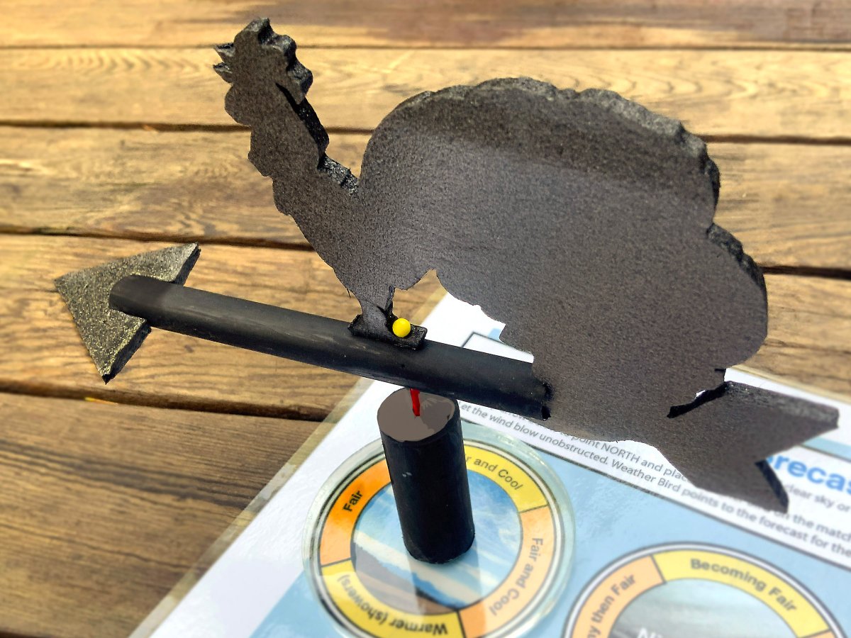 natbee38's tweet photo. Toy Inventor’s Notebook: Weather Bird https://t.co/uEb8lCcAZq https://t.co/xKeEagxgIs