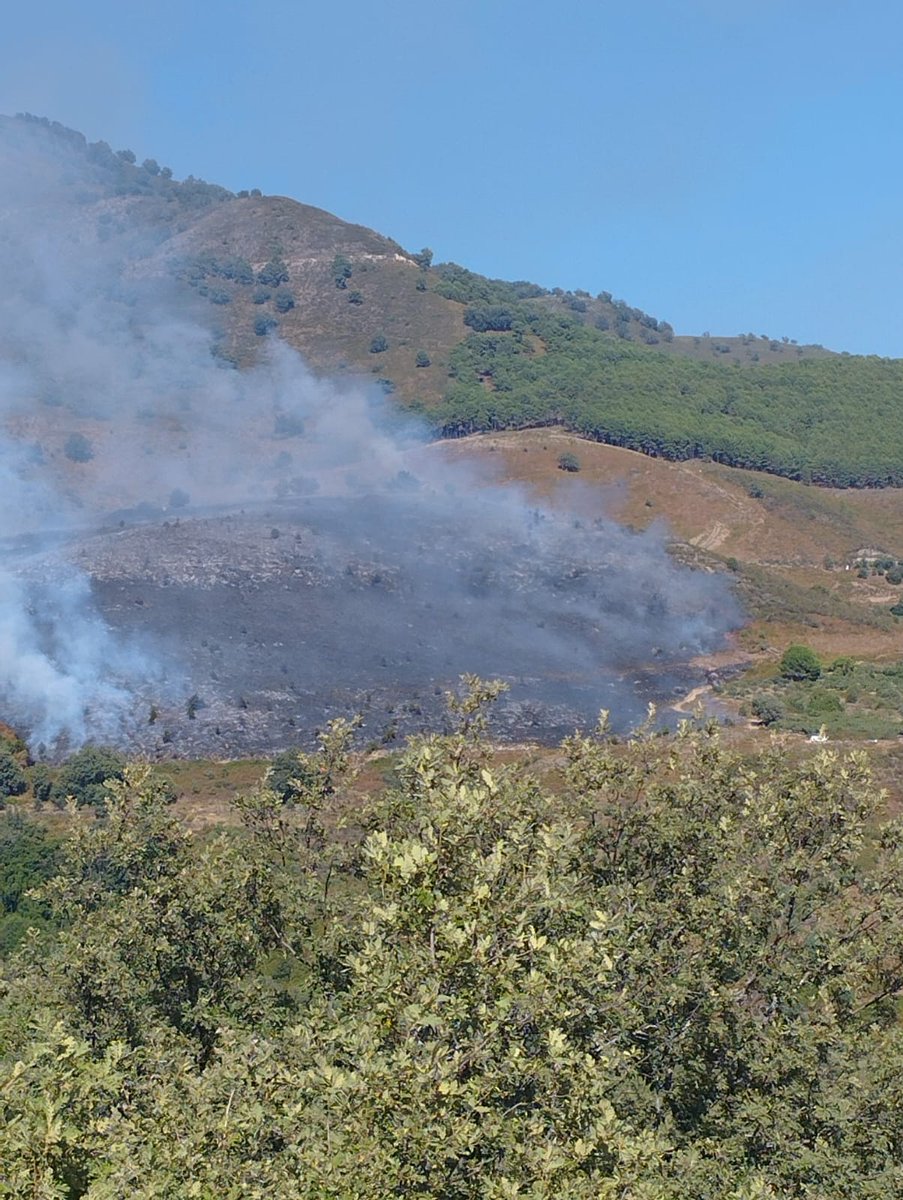 InfuesAvila's tweet photo. 17:35 incendio en el Raso, Candeleda, Ávila. 

Se ubica en el Castro celta del Raso. 

Bastante viento en la zona, medios trabajando. 

#IFElRaso https://t.co/pnQ6CtCBro