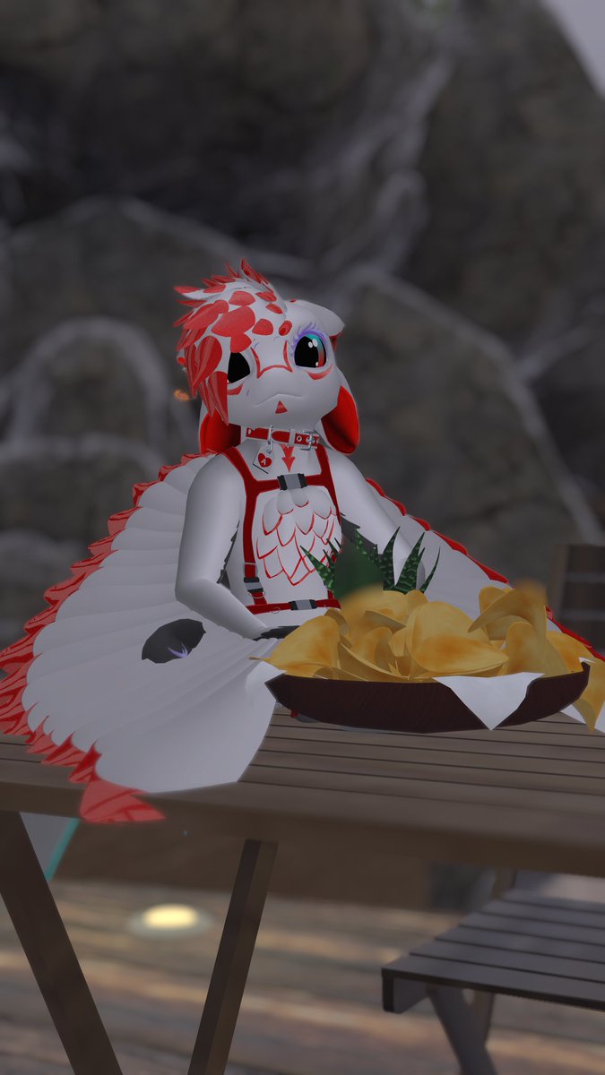 AceIsbirb12's tweet photo. Birb would love to know https://t.co/LeGtk9zUnb