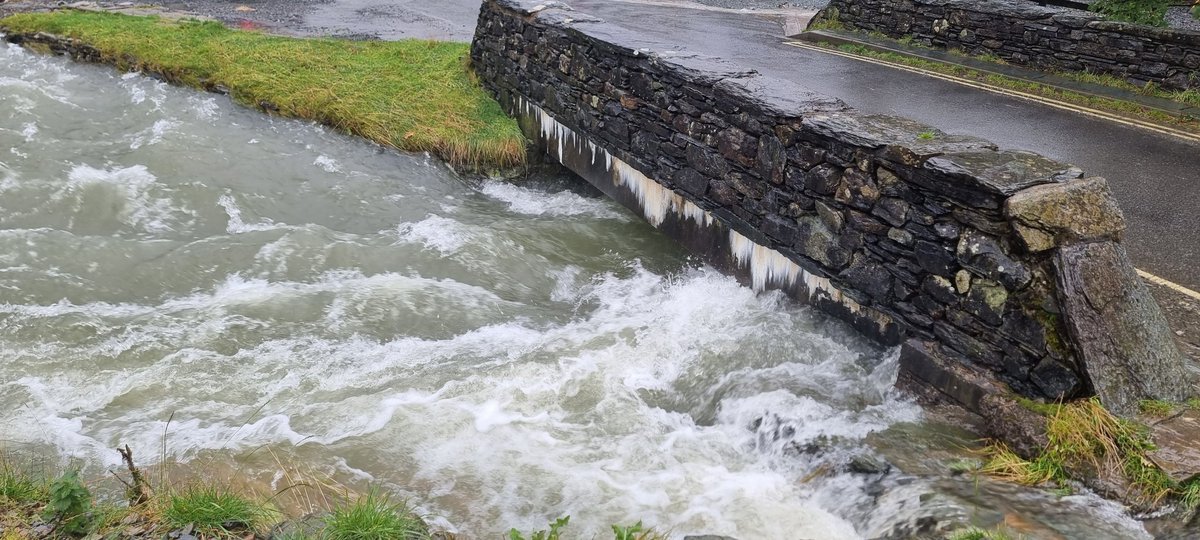 Josh Ahmed tweet media