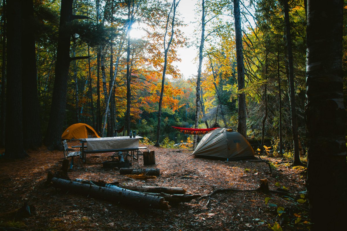 gearupcamping's tweet image. Pack essential gear like a tent, sleeping bag, water filter, fire starter, multi-tool, flashlight, and extra batteries to ensure a well-prepared camping experience

#EssentialGear #Camping #Tent #SleepingBag #WaterFilter #FireStarter #MultiTool #Flashlight #ExtraBatteries
