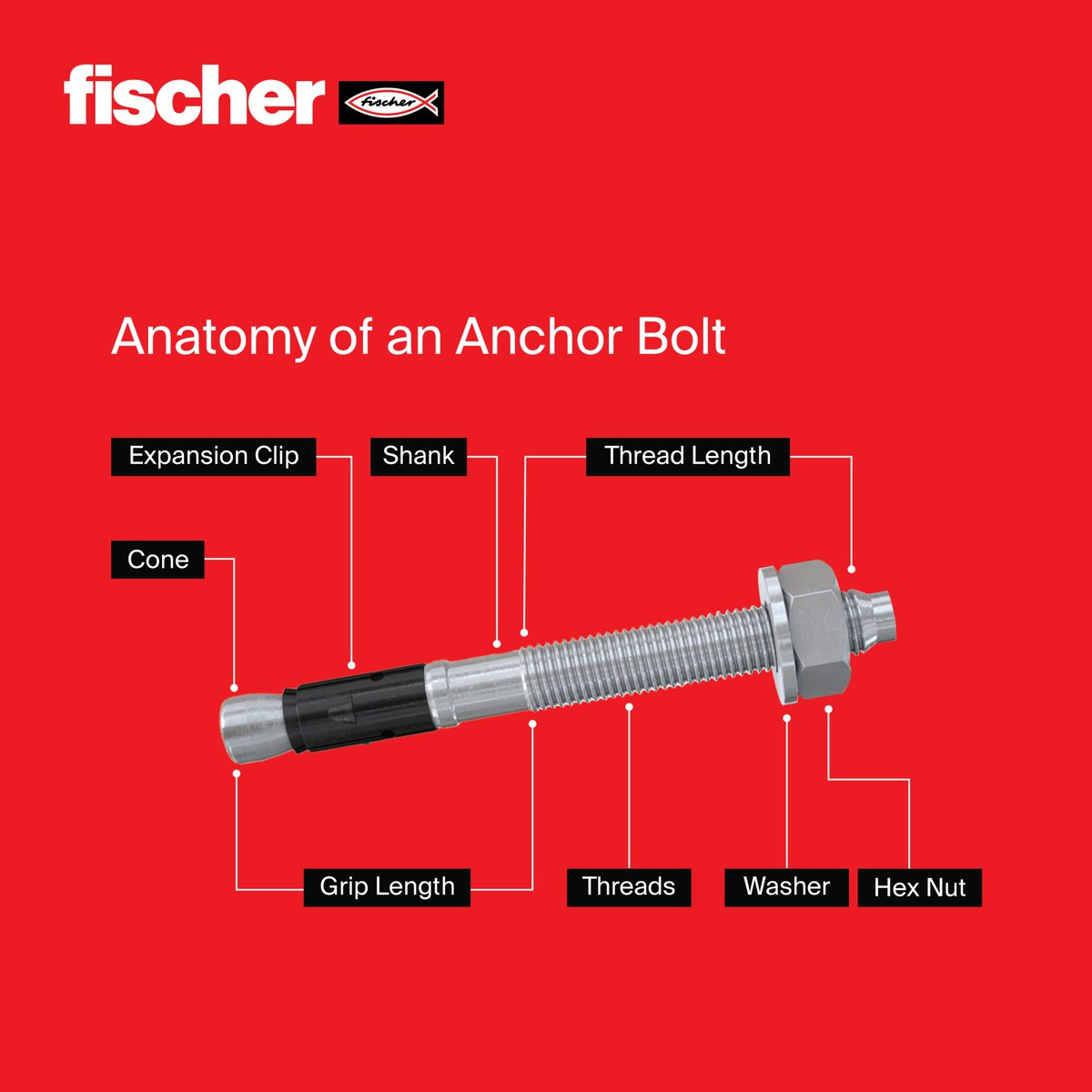 fischer India tweet media