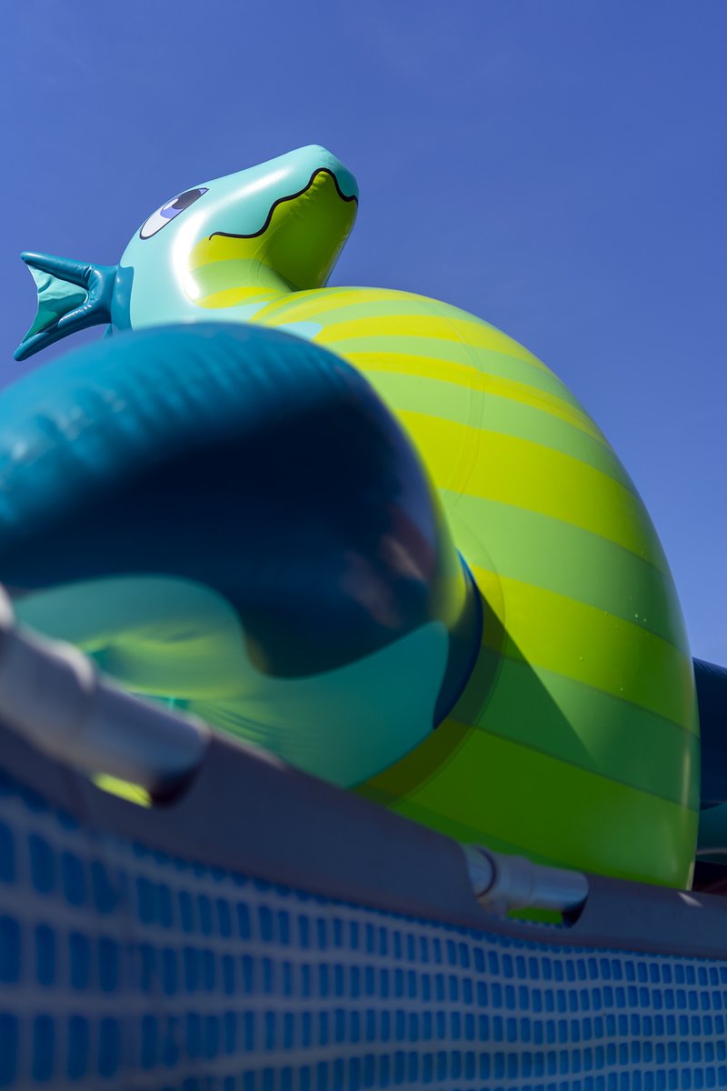 milvusbuteo's tweet photo. The return of the seachonk! #pooltoy https://t.co/rovTPjKkDD