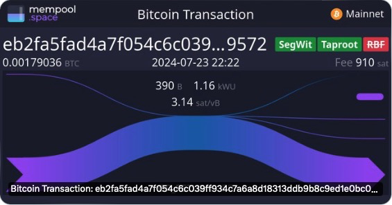 Fractal、OP_NET、AVM、BRC100、可编程符文，BTC 还有哪些扩展方案？

自2024年第一季度以来，BTC 生态的投机热情并不及2023年，但随着越来越多的开发者加入并熟悉 BTC 模型，BTC 生态在技术层面的进展可谓神速，特别是在可编程性扩展方案上。之前 Trustless labs 介绍过 BTC 的 L2 与 UTXO 绑定、BTC