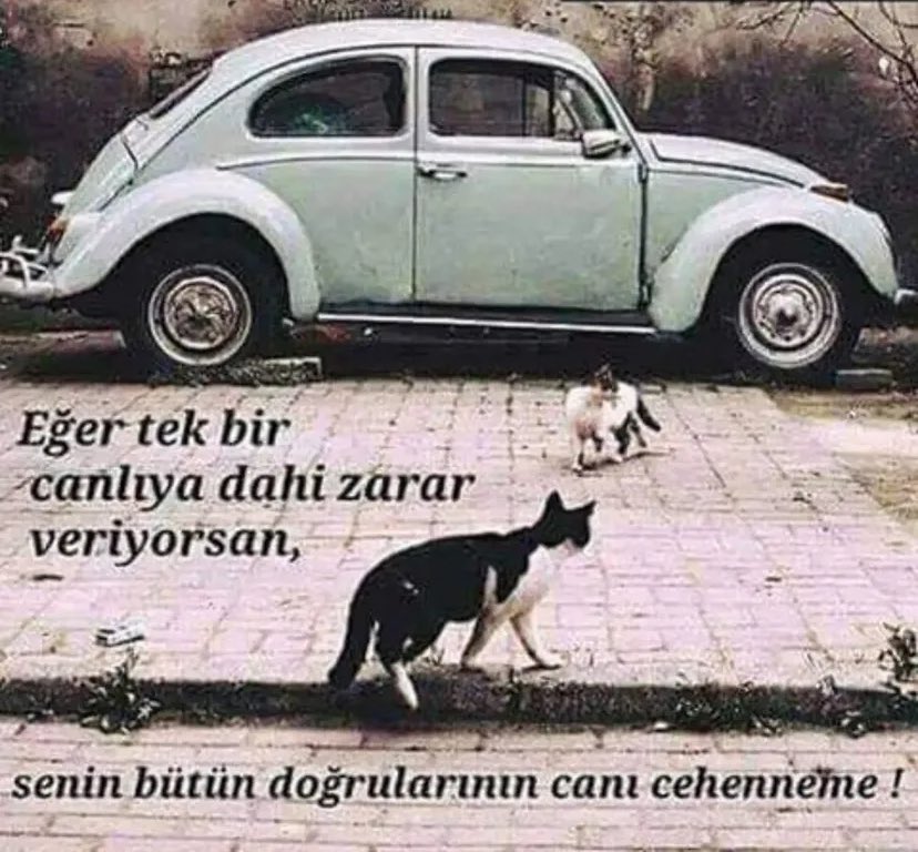 ebrusayim's tweet photo. #türkiyedekatliamvar
#YasaDeğilCinayet 
#YasayiGeriÇek https://t.co/ymdYv2aRAv
