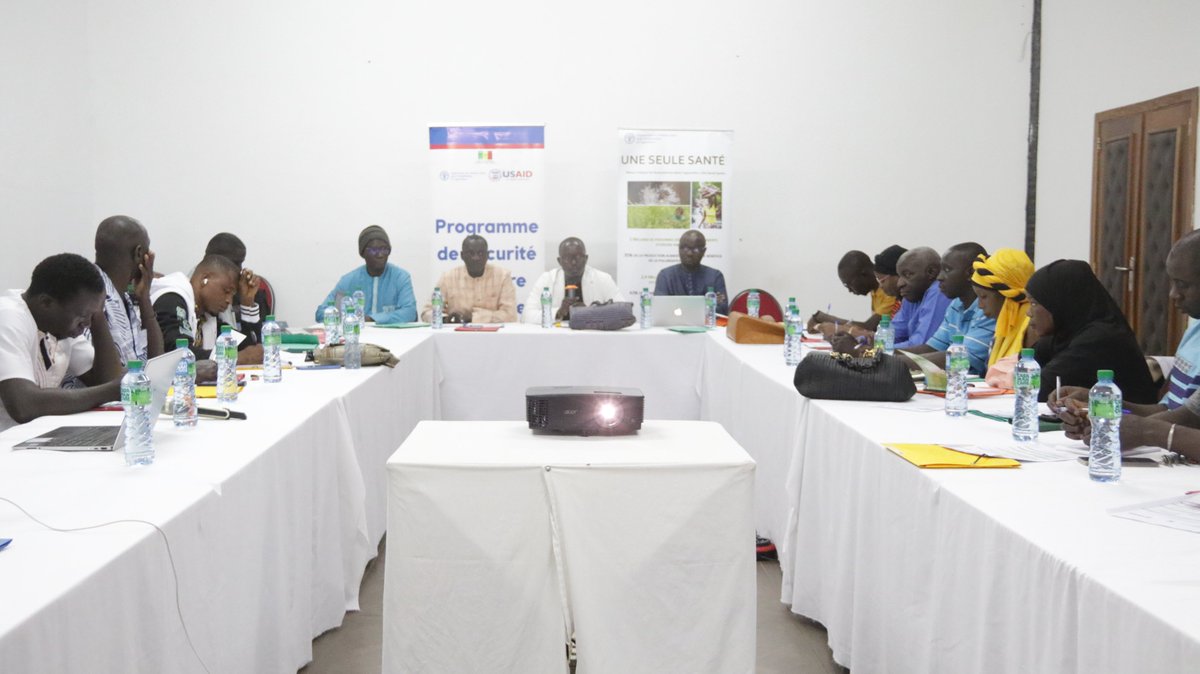 FAOSenegal's tweet photo. HappeningNow| 🗓️27 au 30 août | 📍UAS Ziguinchor

Formation de 35 professionnels de la santé publique
en santé humaine, animale et environnementale
sur les maladies zoonotiques prioritaires et
la résistance aux antimicrobiens #RAM
basé sur l'approche #OneHealth

#FAO_ECTAD https://t.co/1smONMrbi3