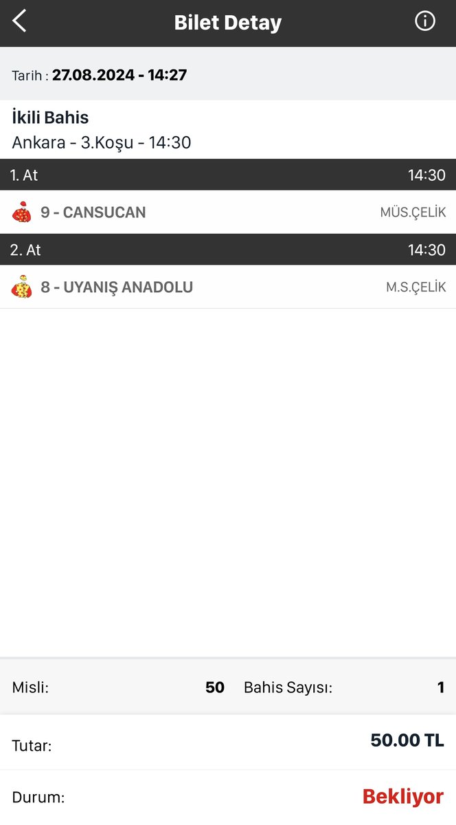 Uyanış Anadolu Cansucan ikilisi bırakalım buraya.