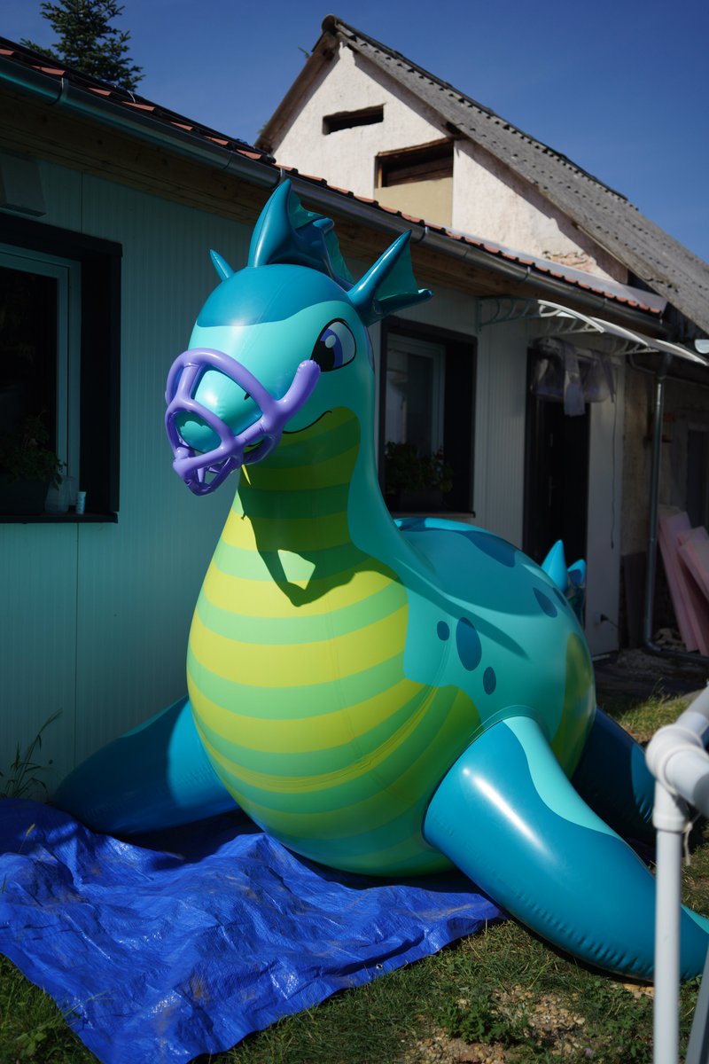 milvusbuteo's tweet photo. The return of the seachonk! #pooltoy https://t.co/rovTPjKkDD