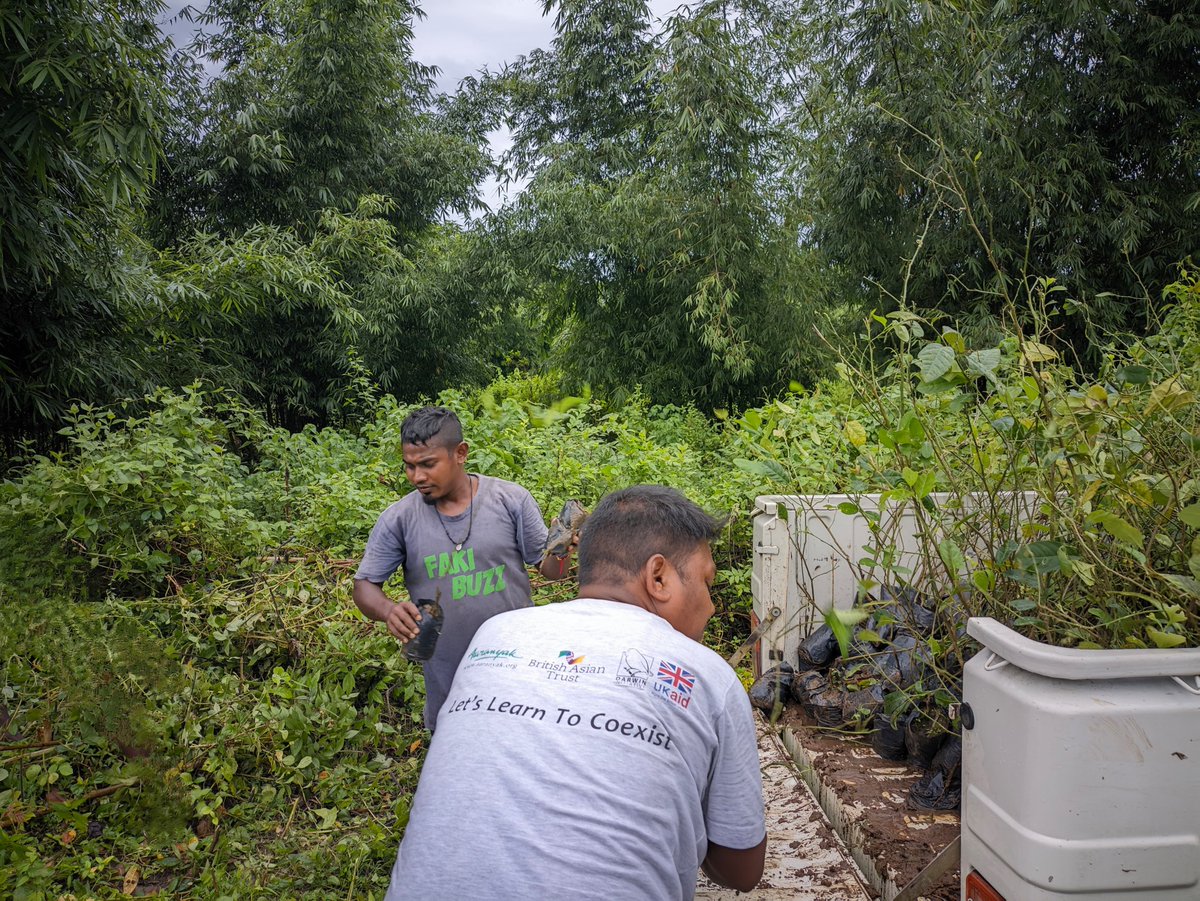 aaranyak's tweet photo. 🐘In Baksa's Madhupur village, with the aim of promoting #NatureBasedSolution, we provided around 415 #lemon saplings to a household for #biofencing, which will act as a natural barrier for wild elephants facilitating #coexistence, while supplementing livelihood. @SBI_FOUNDATION https://t.co/FQdTq785I4