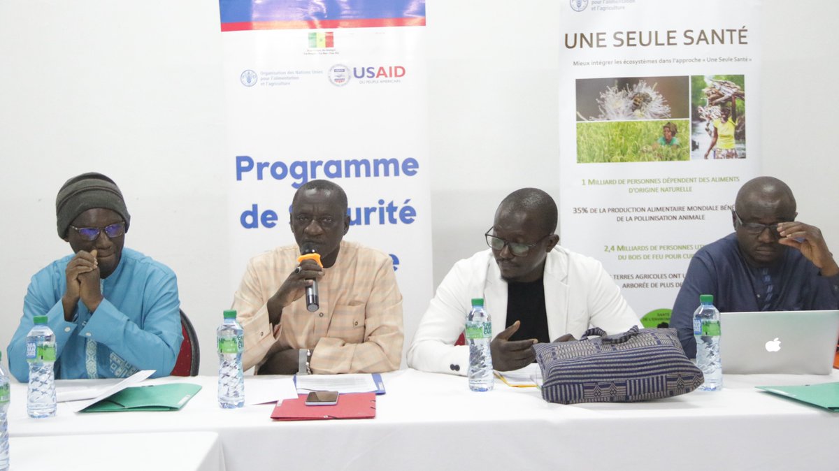 FAOSenegal's tweet photo. HappeningNow| 🗓️27 au 30 août | 📍UAS Ziguinchor

Formation de 35 professionnels de la santé publique
en santé humaine, animale et environnementale
sur les maladies zoonotiques prioritaires et
la résistance aux antimicrobiens #RAM
basé sur l'approche #OneHealth

#FAO_ECTAD https://t.co/1smONMrbi3