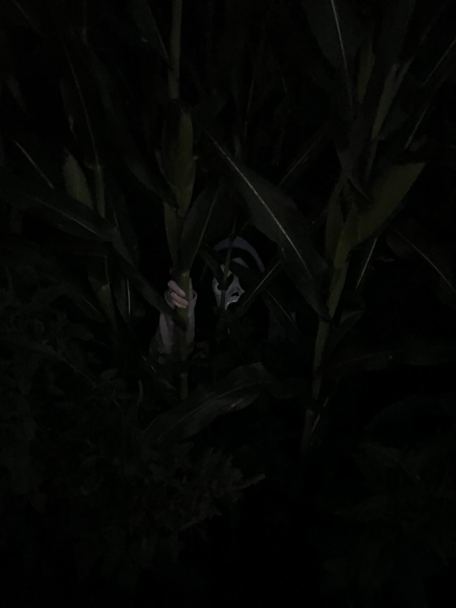 ScreamforGhosty's tweet photo. Is he gonna chase you through the woods or do I have to? https://t.co/IFxbcBfqY5