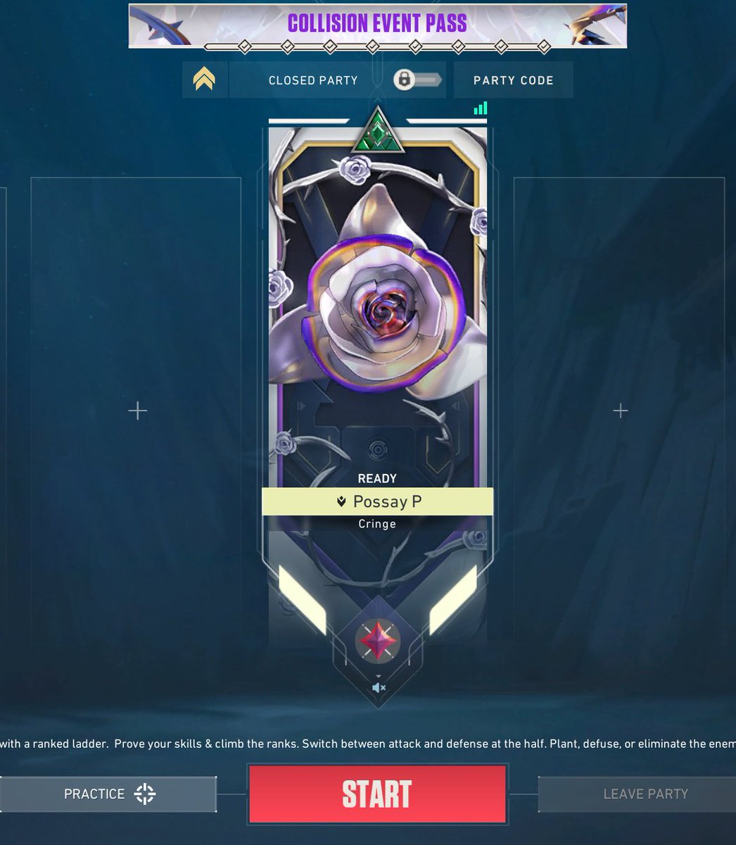 Padsterr tweet media