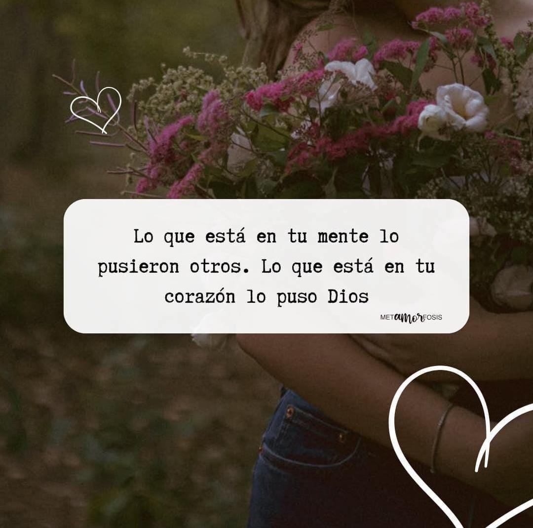 *Escucha a tu corazón* 💓 
🩵✨*_Excelente y bendecido día*  ✨🩵
✨🙏🏽❤️💯
