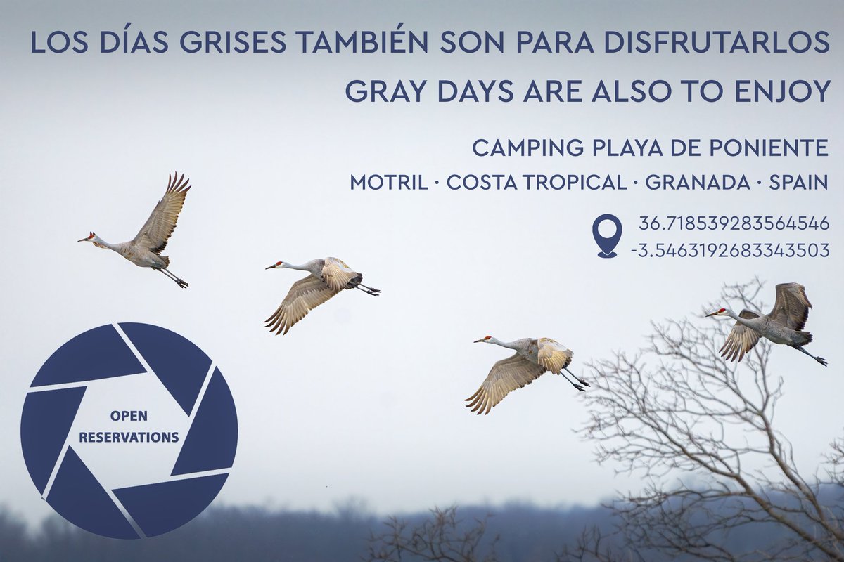 ¡Los días grises también son para disfrutarlos!
¡Ven y disfruta!
#CampinPlayadePoniente #Motril #CostaTropical #Granada #Camping