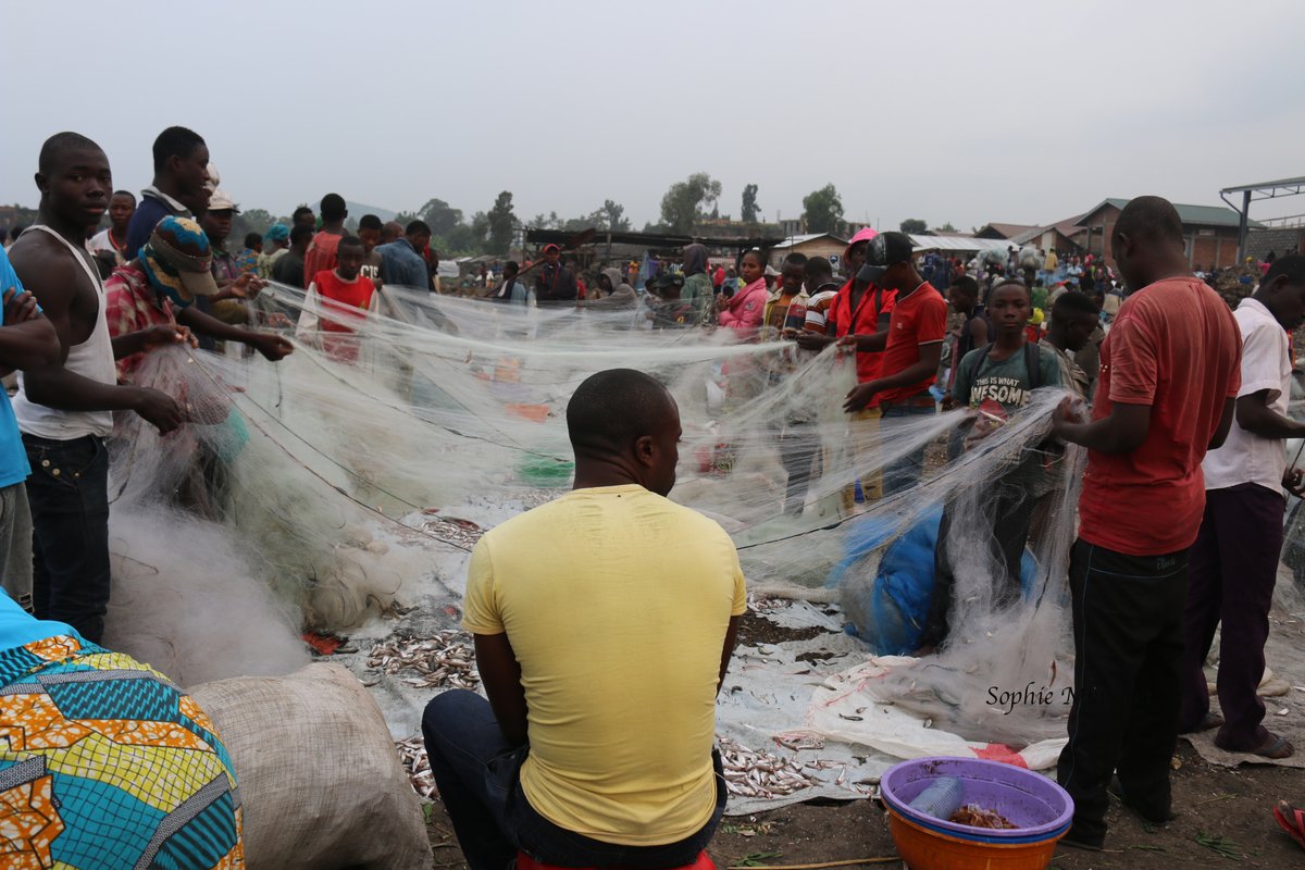 Lake Kivu shared by the Democratic Republic of the Congo and Rwanda  is one of the two smallest African Great Lakes  formed by volcanic activity. 

While the lake contains high concentration on naturally occurring methane gas, fishing of the Lake Tanganyika sardine lake forms the