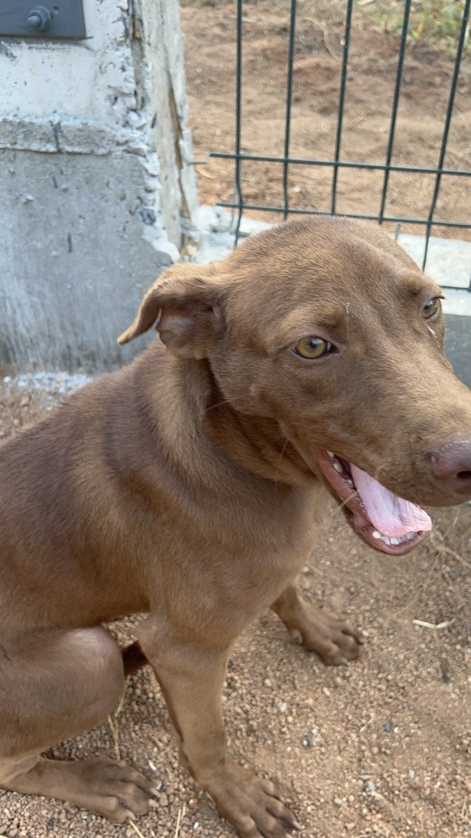 Niall Harbison tweet media