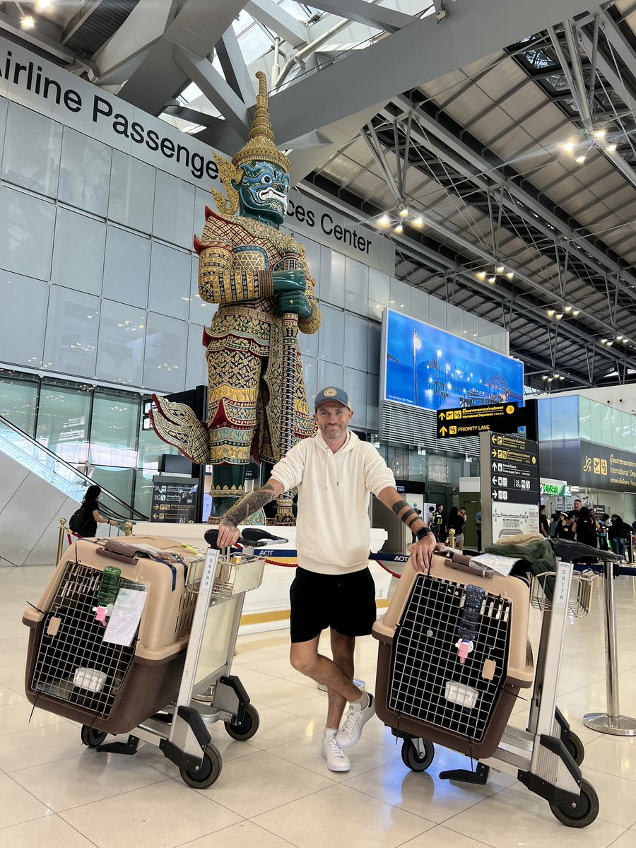 Niall Harbison tweet media