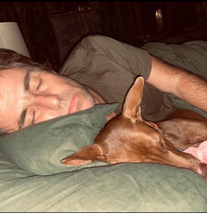 Little Buttons came into our little sanctuary <a href="/wearehappydoggo/">Happy Doggo</a> in Thailand looking for help. 

A year ago I delivered her over to <a href="/liamgallagher/">Liam Gallagher</a> and her perfect forever home. 

I told her you are safe Agent Buttons,  now get to work getting the band back together… (1/4) 🧵