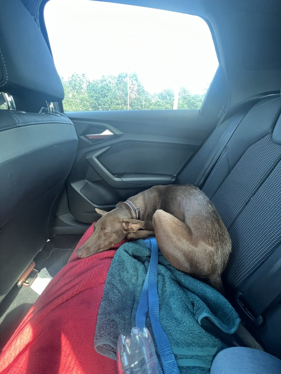 Niall Harbison tweet media