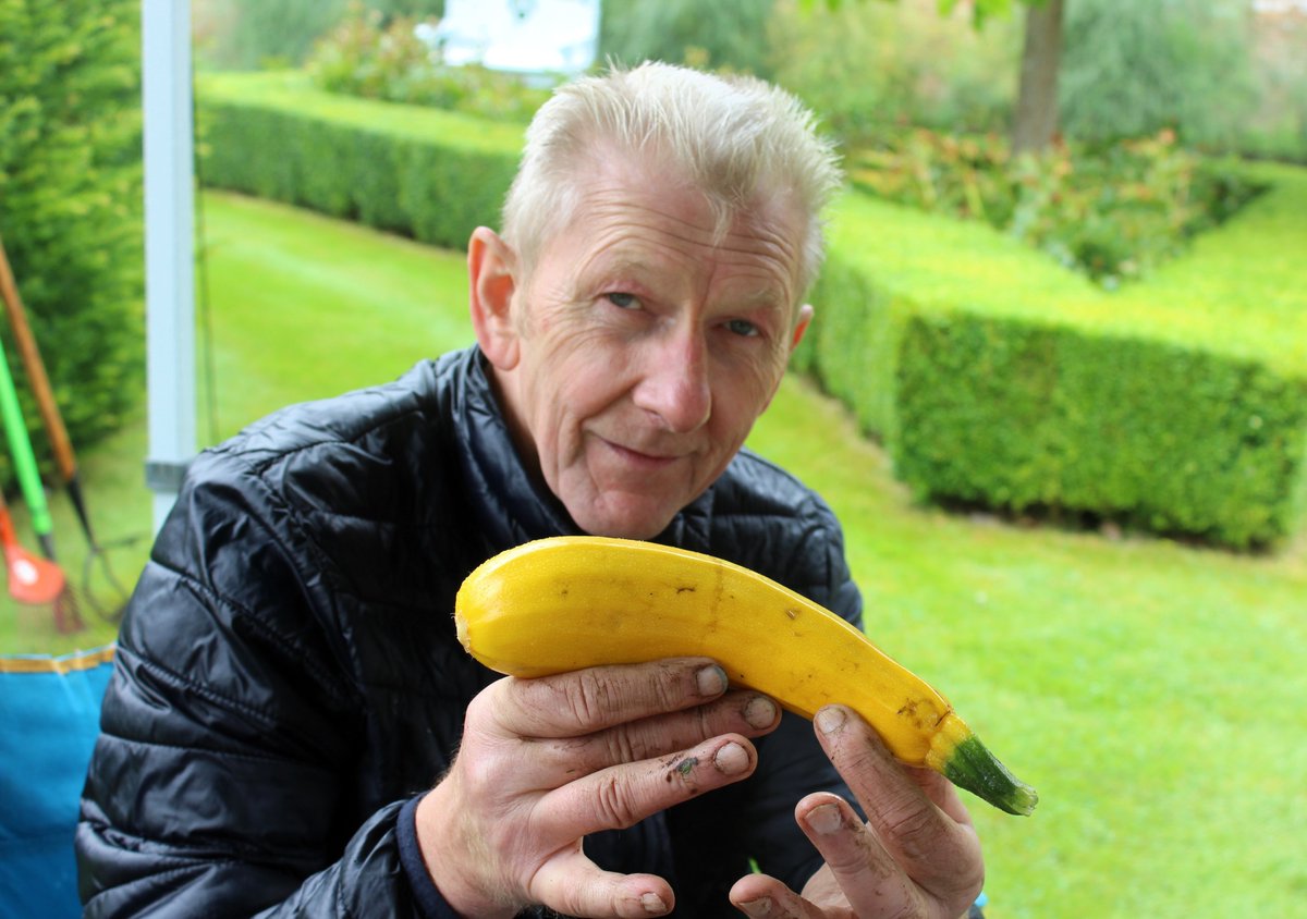 Younger People with Dementia CIO tweet media