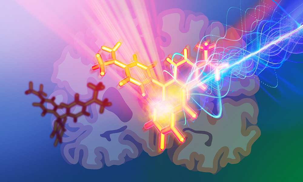 embl's tweet photo. EMBL scientists applied molecular engineering to build photoacoustic probes to label and visualise neurons deep within brain tissue.

A new paper explains how this novel approach improves what scientists can learn about brain functions.

https://t.co/qvt7EtmeTZ https://t.co/BtZ7ao7JtL