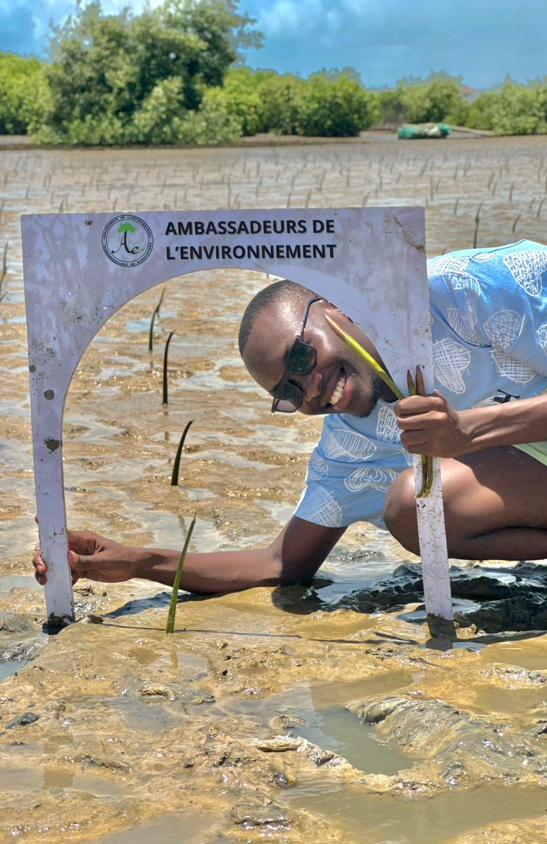 🇸🇳Ambassadeur🌳de l’environnement🌳 tweet media