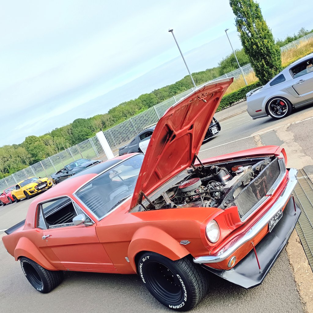 Wild #FordMustangs coming into <a href="/FordFair/">Ford Fair</a> courtesy of <a href="/SimplyMustangs/">SimplyMustangsUK</a>